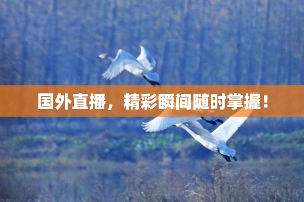 国外直播，精彩瞬间随时掌握！