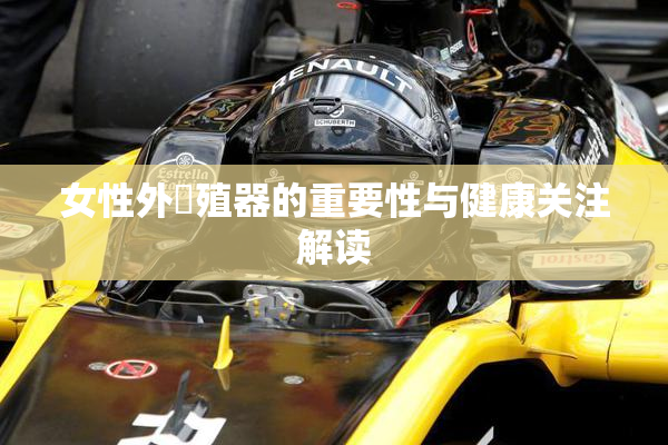 女性外夝殖器的重要性与健康关注解读