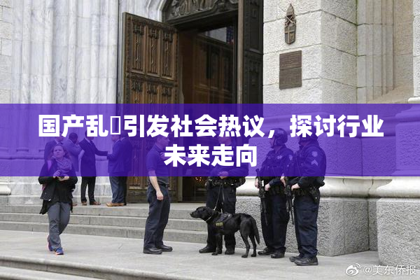 国产乱婬引发社会热议，探讨行业未来走向