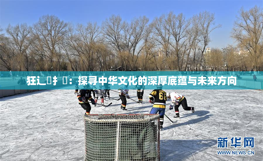 狂辶喿扌畐：探寻中华文化的深厚底蕴与未来方向