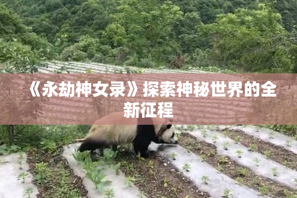 《永劫神女录》探索神秘世界的全新征程