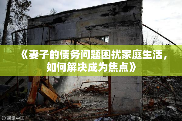 《妻子的债务问题困扰家庭生活，如何解决成为焦点》
