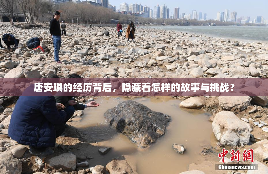 唐安琪的经历背后，隐藏着怎样的故事与挑战？