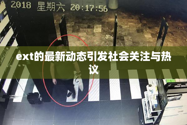 ext的最新动态引发社会关注与热议