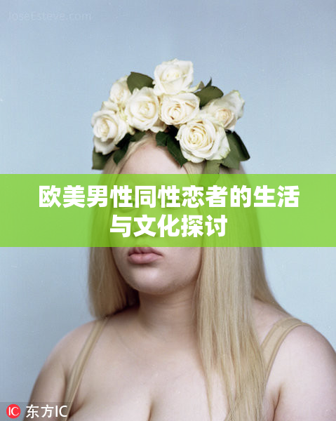 欧美男性同性恋者的生活与文化探讨