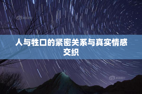 人与牲口的紧密关系与真实情感交织