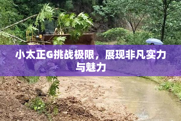 小太正G挑战极限，展现非凡实力与魅力