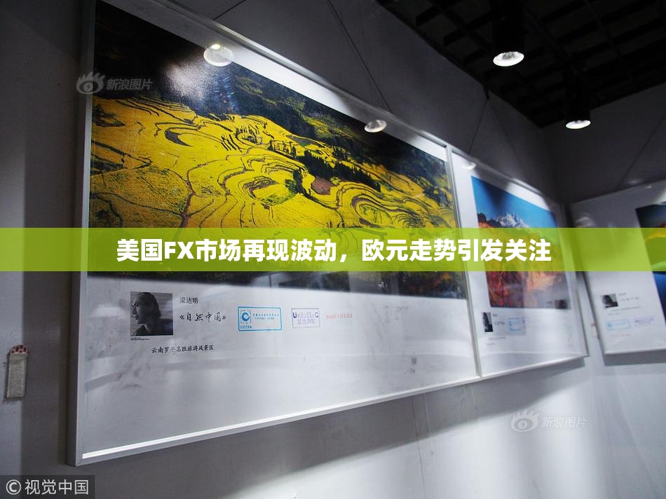 美国FX市场再现波动，欧元走势引发关注