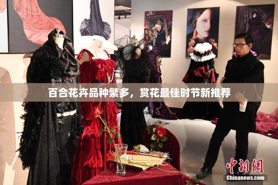 百合花卉品种繁多，赏花最佳时节新推荐