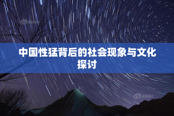 中国性猛背后的社会现象与文化探讨