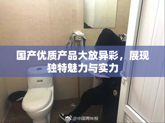国产优质产品大放异彩，展现独特魅力与实力