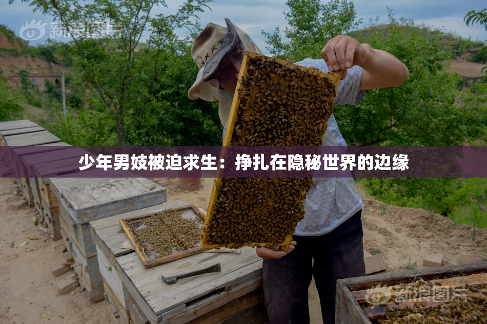 少年男妓被迫求生：挣扎在隐秘世界的边缘