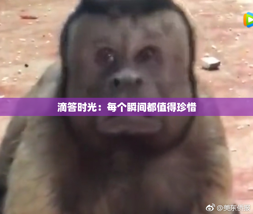滴答时光：每个瞬间都值得珍惜