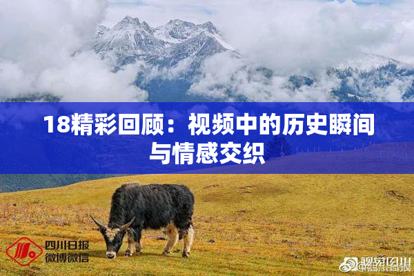 18精彩回顾：视频中的历史瞬间与情感交织