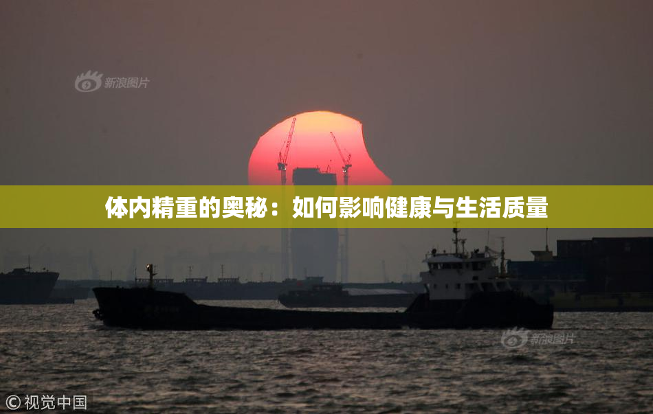 体内精重的奥秘：如何影响健康与生活质量