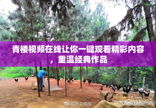 青楼视频在线让你一键观看精彩内容，重温经典作品