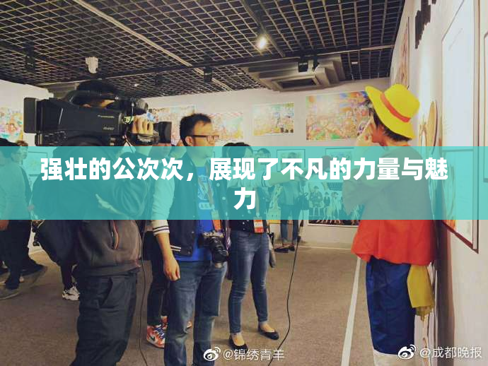 强壮的公次次，展现了不凡的力量与魅力