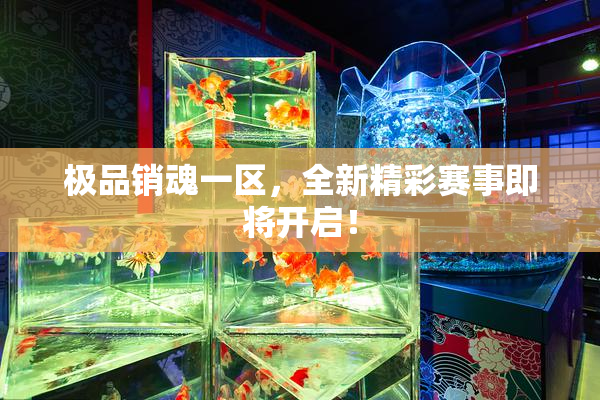 极品销魂一区，全新精彩赛事即将开启！