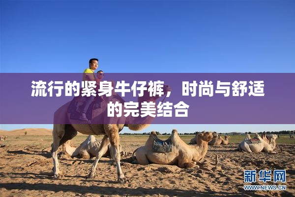 流行的紧身牛仔裤，时尚与舒适的完美结合