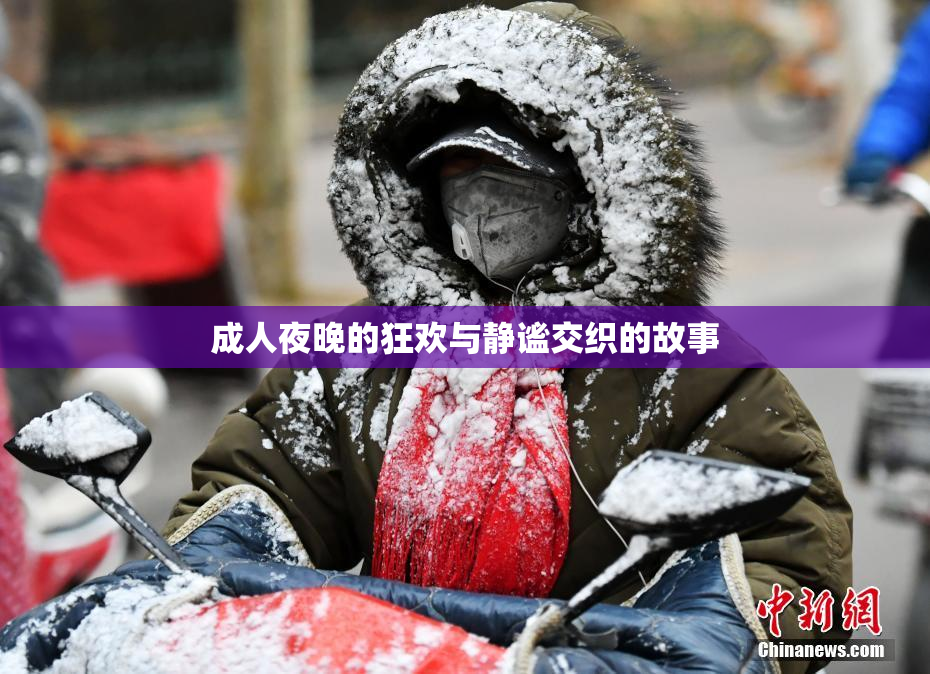 成人夜晚的狂欢与静谧交织的故事