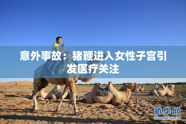 意外事故：猪鞭进入女性子宫引发医疗关注