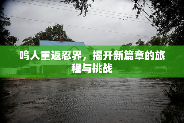 鸣人重返忍界，揭开新篇章的旅程与挑战
