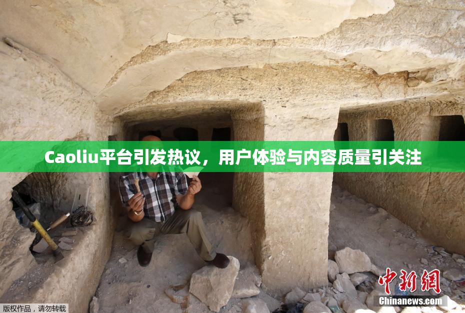Caoliu平台引发热议，用户体验与内容质量引关注