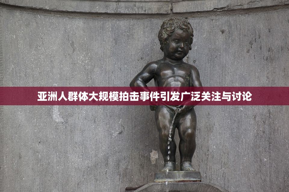 亚洲人群体大规模拍击事件引发广泛关注与讨论