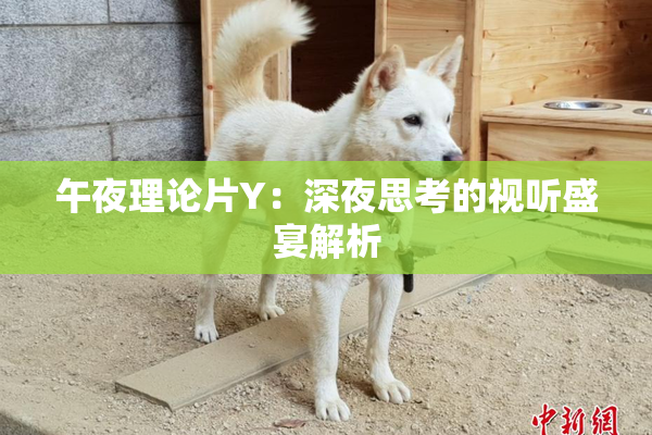 午夜理论片Y：深夜思考的视听盛宴解析