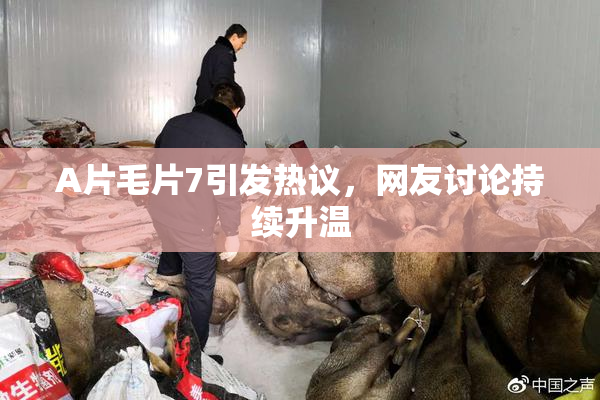 A片毛片7引发热议，网友讨论持续升温