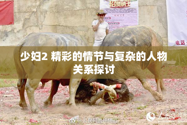 少妇2 精彩的情节与复杂的人物关系探讨