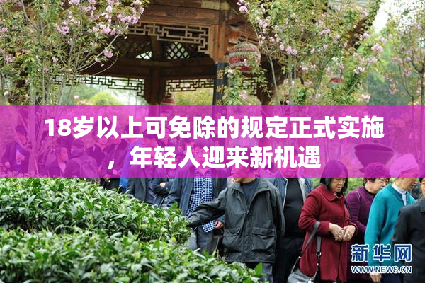 18岁以上可免除的规定正式实施，年轻人迎来新机遇