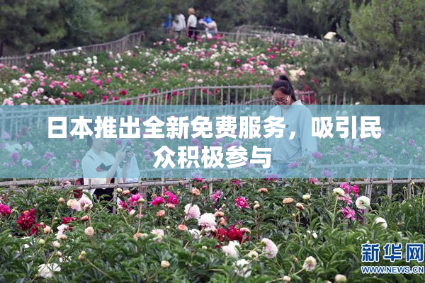 日本推出全新免费服务，吸引民众积极参与