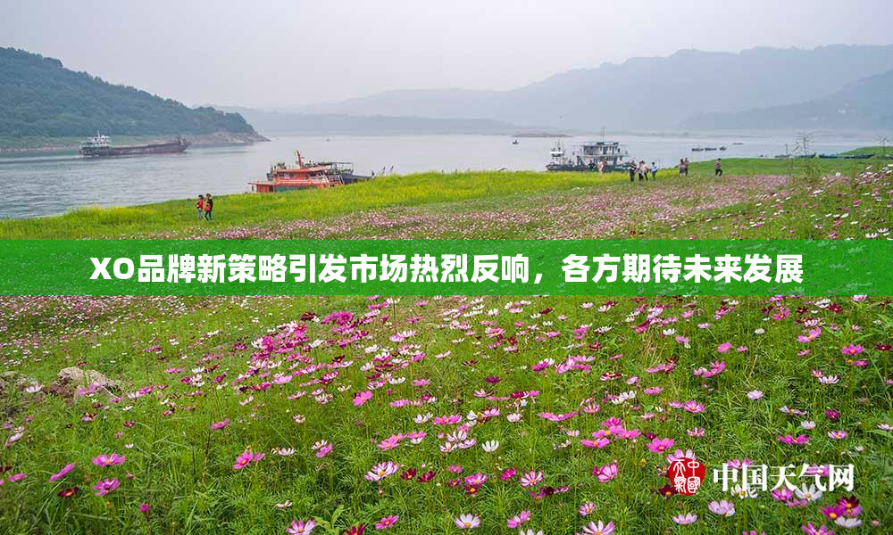 XO品牌新策略引发市场热烈反响，各方期待未来发展