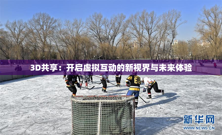 3D共享：开启虚拟互动的新视界与未来体验