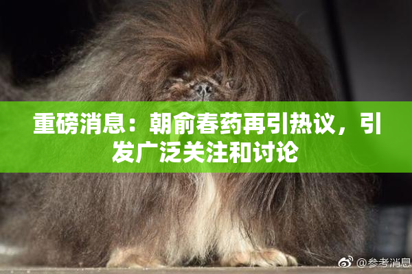 重磅消息：朝俞春药再引热议，引发广泛关注和讨论