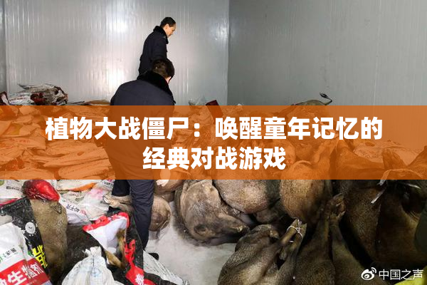 植物大战僵尸：唤醒童年记忆的经典对战游戏