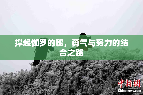 撑起伽罗的腿，勇气与努力的结合之路