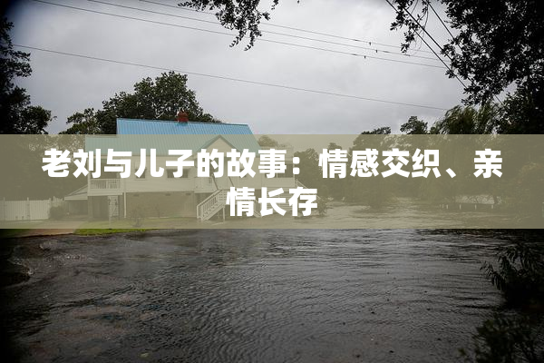 老刘与儿子的故事：情感交织、亲情长存