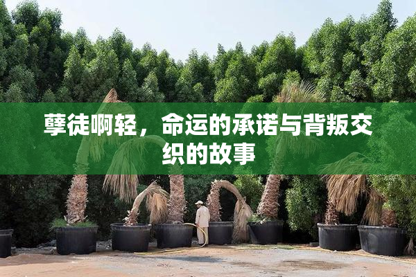 孽徒啊轻，命运的承诺与背叛交织的故事