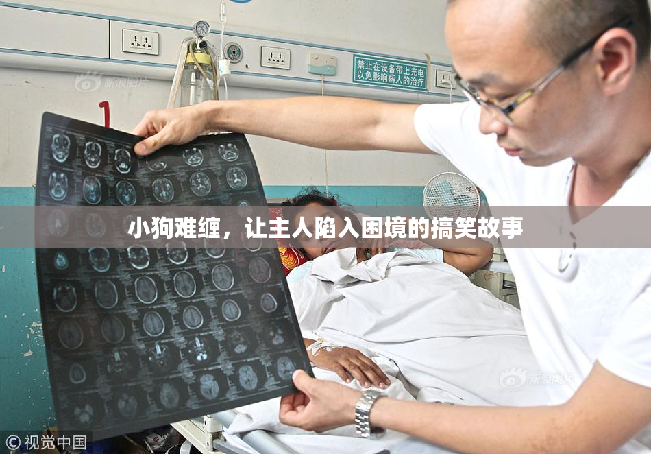 小狗难缠，让主人陷入困境的搞笑故事