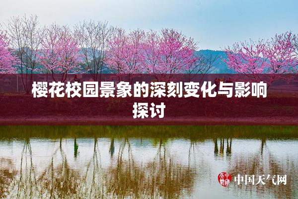 樱花校园景象的深刻变化与影响探讨