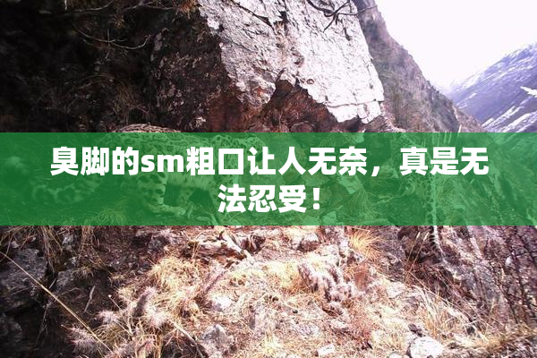 臭脚的sm粗口让人无奈，真是无法忍受！