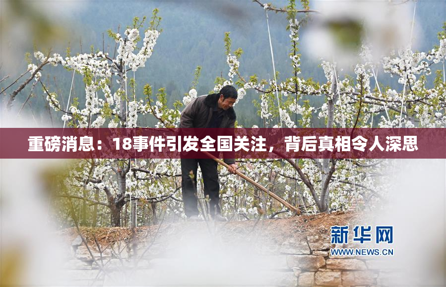 重磅消息：18事件引发全国关注，背后真相令人深思