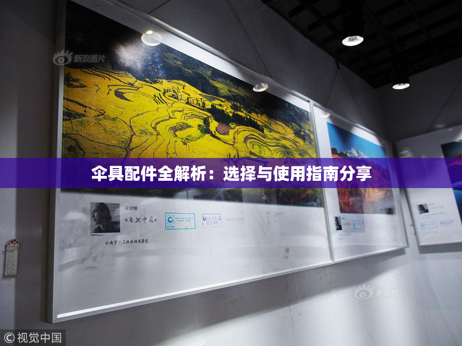 伞具配件全解析：选择与使用指南分享