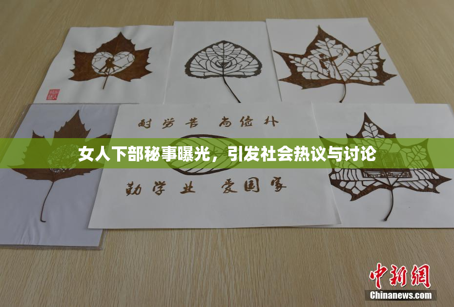 女人下部秘事曝光，引发社会热议与讨论