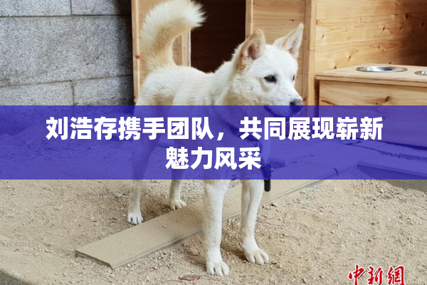 刘浩存携手团队，共同展现崭新魅力风采