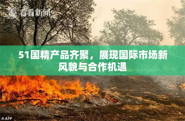 51国精产品齐聚，展现国际市场新风貌与合作机遇