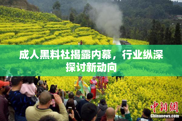 成人黑料社揭露内幕，行业纵深探讨新动向