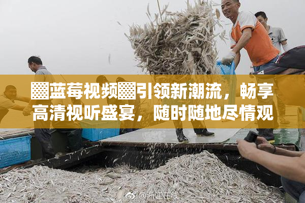 ▓蓝莓视频▓引领新潮流，畅享高清视听盛宴，随时随地尽情观影！